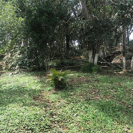 Vila Recanto Figueiredo Ibiúna Exteriér fotografie