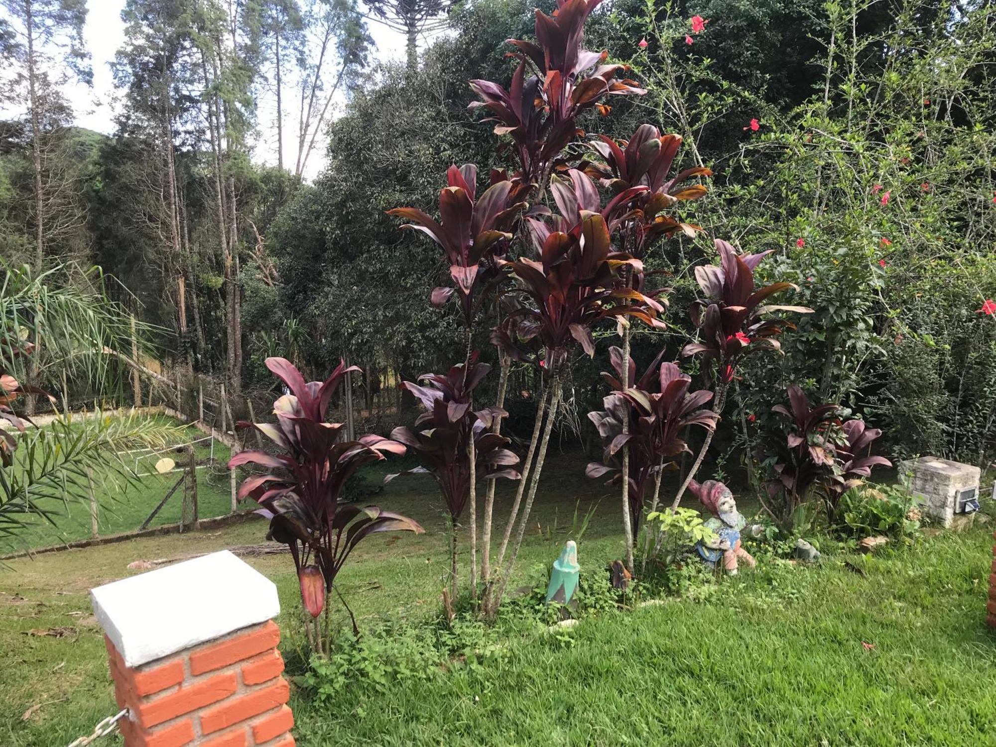 Vila Recanto Figueiredo Ibiúna Exteriér fotografie
